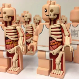 Jason Freeny Lego Anatomy