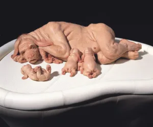 I Migliori Scultori di Opere Horror: Patricia Piccinini