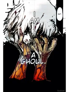 - panel -